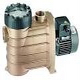 Speck-Pumpen-Bronce