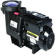 IntelliFlo Pumpen