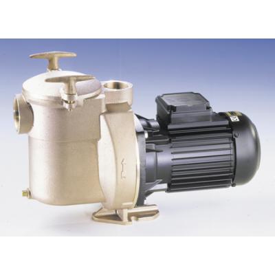 Sta-Rite Bronze Pumpe 11m³/h   230V